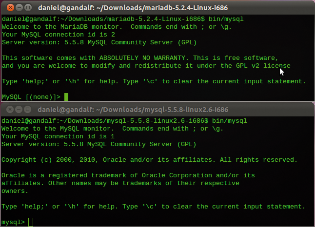 The MariaDB 5.2.4 (top) and MySQL 5.5.8 mysql clients connecting to a MySQL 5.5.8 server. The MariaDB client shows "(none)" as the current database. The MariaDB 5.2.4 (top) and MySQL 5.5.8 mysql clients connecting to a MySQL 5.5.8 server. The MariaDB client shows "(none)" as the current database.