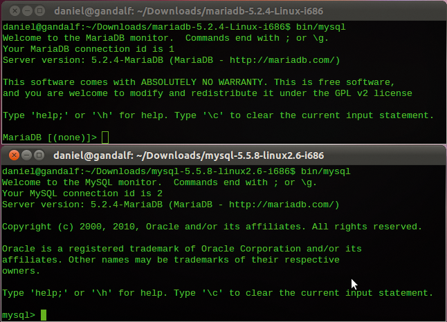 The MariaDB 5.2.4 (top) and MySQL 5.5.8 mysql clients connecting to a MariaDB 5.2.4 server. The MariaDB client shows "(none)" as the current database. The MariaDB 5.2.4 (top) and MySQL 5.5.8 mysql clients connecting to a MariaDB 5.2.4 server. The MariaDB client shows "(none)" as the current database.