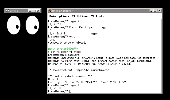 Running the Xeyes program from a remote *nix system. Running the Xeyes program from a remote *nix system.
