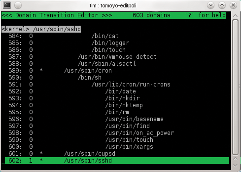All SSH daemon processes belong to a single domain now – you can easily identify it by the asterisk. All SSH daemon processes belong to a single domain now – you can easily identify it by the asterisk.