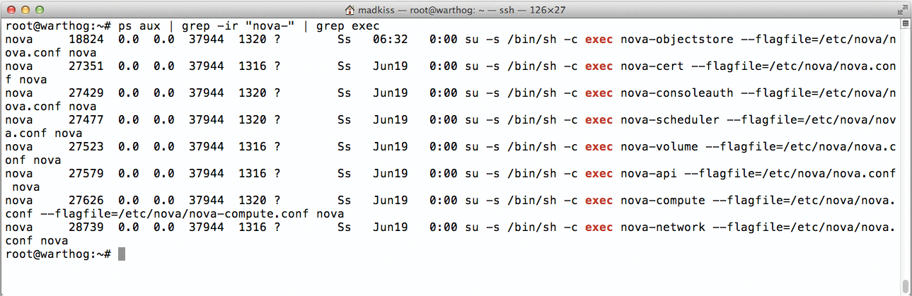 Nova does not just comprise nova-api and nova-compute, but a whole range of add-on services. Nova does not just comprise nova-api and nova-compute, but a whole range of add-on services.