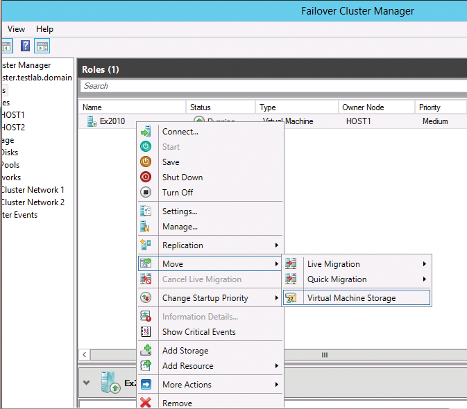 Managing replicated virtual servers in a cluster. Managing replicated virtual servers in a cluster.