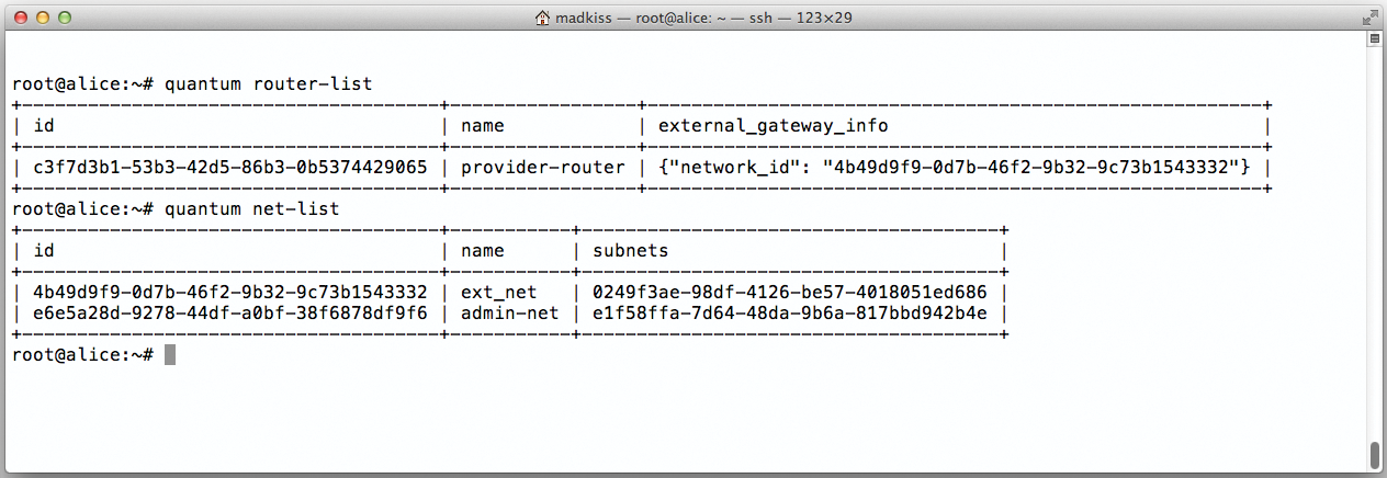 After creating the networks in Quantum, you have two networks and a router. After creating the networks in Quantum, you have two networks and a router.