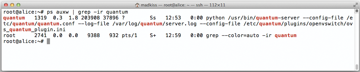 In the default installation, the cloud controller only runs the Quantum Server. In the default installation, the cloud controller only runs the Quantum Server.
