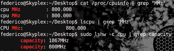 Checking the processor's clock speed. Checking the processor's clock speed.