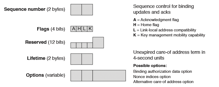 The binding update header. The binding update header.