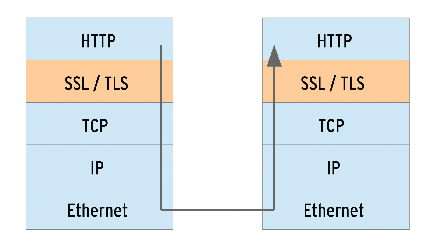 SSL actually forms a separate intermediate layer in the protocol stack but is typically seen as belonging to the transport or TCP layer. SSL actually forms a separate intermediate layer in the protocol stack but is typically seen as belonging to the transport or TCP layer.
