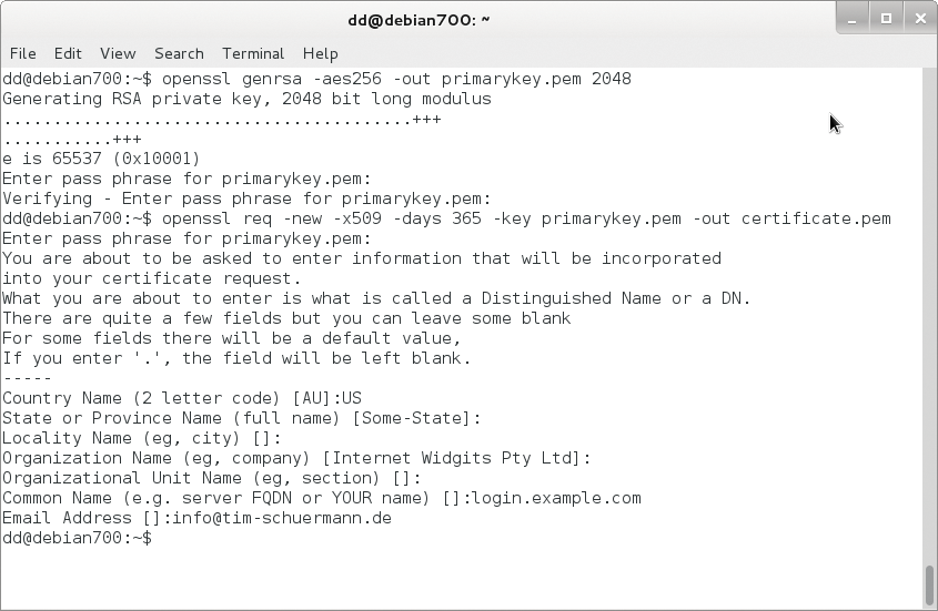 The Common Name is not your own name but the domain name. The Common Name is not your own name but the domain name.