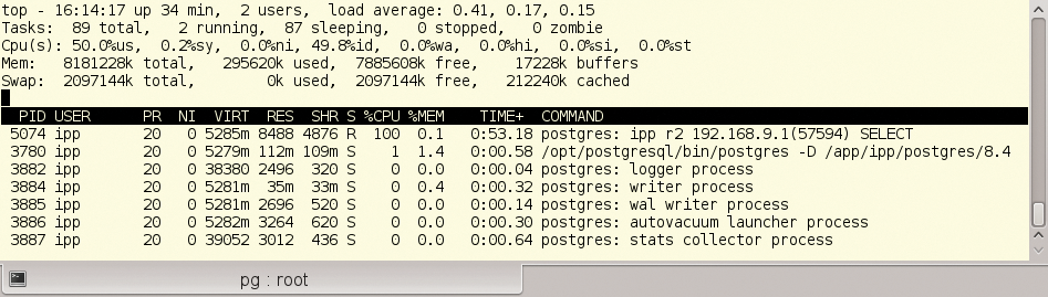 The burncpu() process at the top of the Top chart. The burncpu() process at the top of the Top chart.