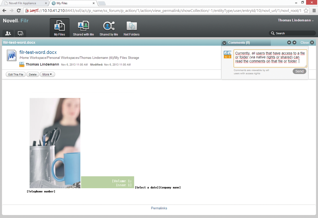 Filr shows a preview in the browser for numerous file types. Filr shows a preview in the browser for numerous file types.