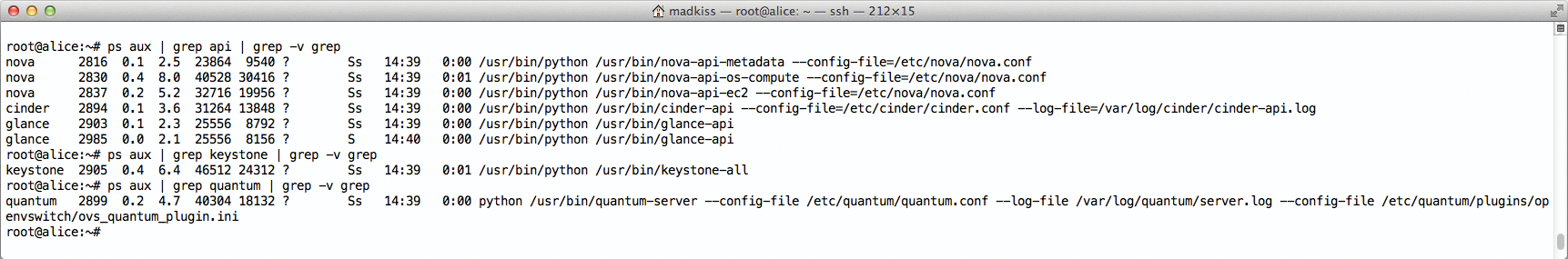 Each service in OpenStack comes with an API; in the example, you can see the RESTful APIs Nova, Cinder, and Glance, as well as Quantum and Keystone. Each service in OpenStack comes with an API; in the example, you can see the RESTful APIs Nova, Cinder, and Glance, as well as Quantum and Keystone.