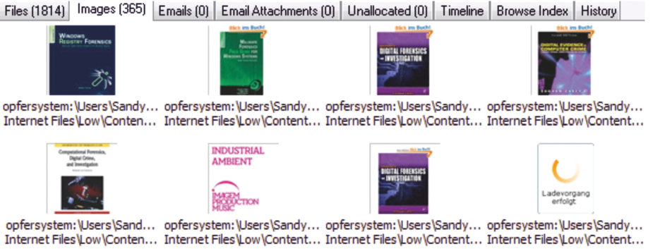 Pictures of the purchased item in the cache (OSForensics). Pictures of the purchased item in the cache (OSForensics).