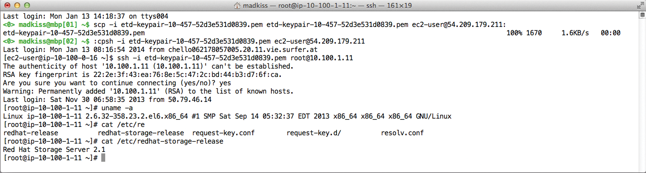 Use a specially generated SSH key to access the VMs in the test environment. Use a specially generated SSH key to access the VMs in the test environment.