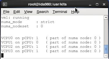 NUMA dashboard for guest vm1. NUMA dashboard for guest vm1.