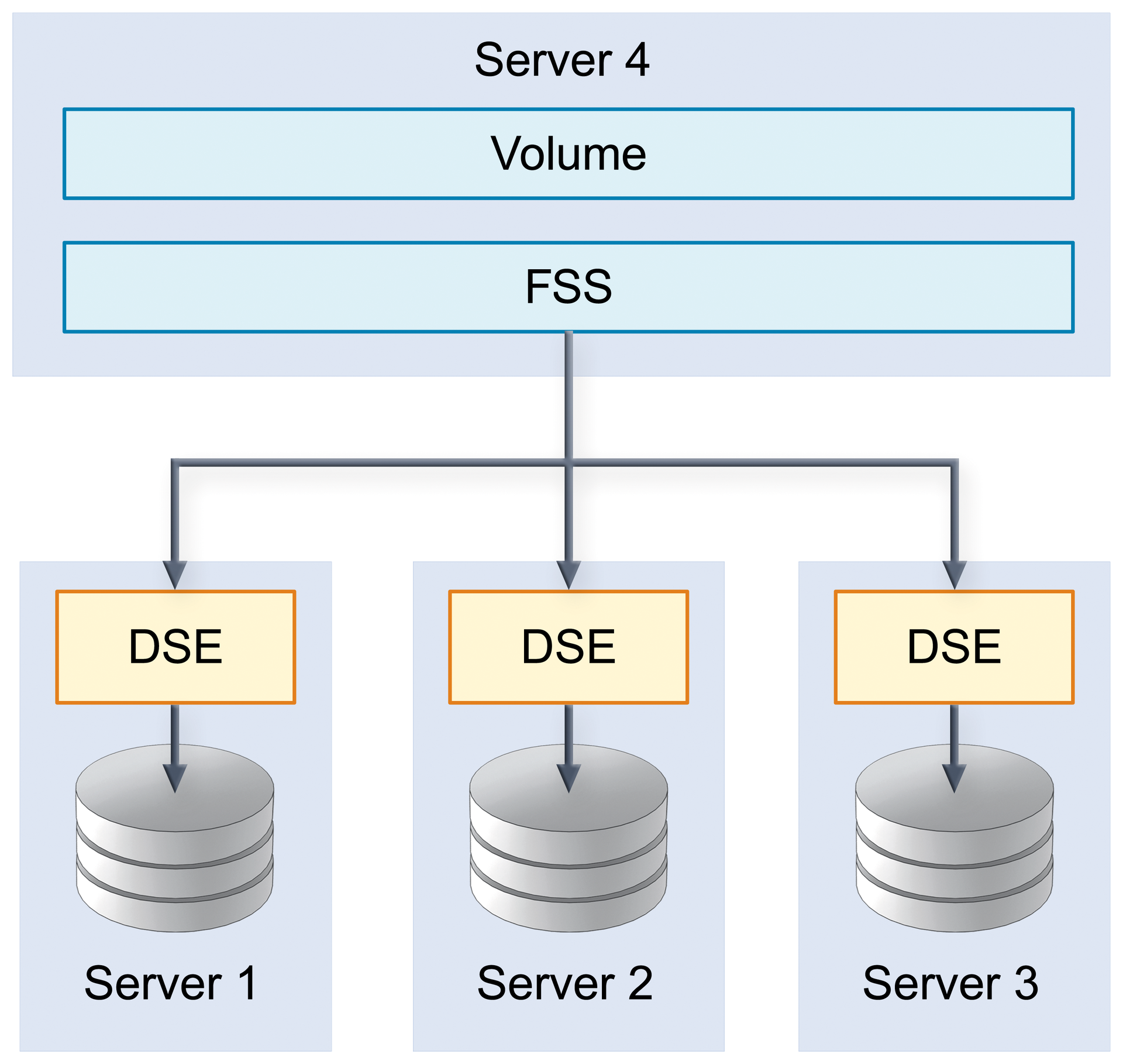 DSEs provide storage space, which the FSS then uses to provide a volume. DSEs provide storage space, which the FSS then uses to provide a volume.