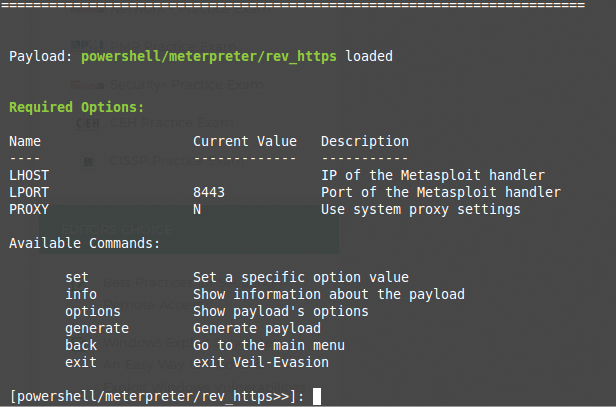 Loading the rev_https payload. Loading the rev_https payload.