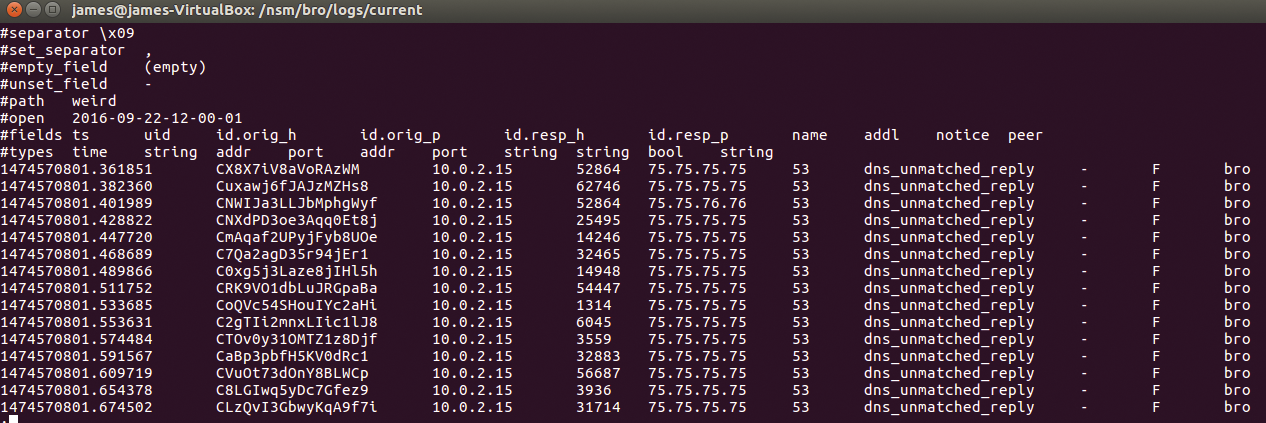 Manipulated/fragmented packets appearing in Bro. Manipulated/fragmented packets appearing in Bro.
